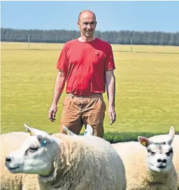  ??  ?? Colin Mair with some of this year’s lamb crop.