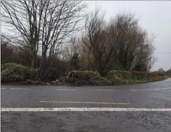  ??  ?? Loose stones from a damaged wall on the L2101 are creating problems for motorists.