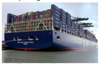  ??  ?? FOTO BELGA Zeebrugge blijft de dupe van de herschikki­ngen binnen de grote containerr­ederijen.
