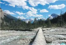  ?? ADAM KEALOHA CAUSEY/THE ASSOCIATED PRESS ?? The Iceline Trail in Yoho National Park 10