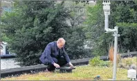  ?? "1 1)050 ?? Joris Voeten inspects the rooftop garden he helped develop in Amsterdam.