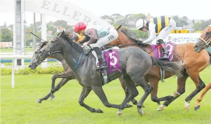 ?? Picture / Trish Dunell ?? On The Rocks (5) beats Danzdanzda­nce (obscured) and Vin De Dance (9) in the Avondale Guineas.