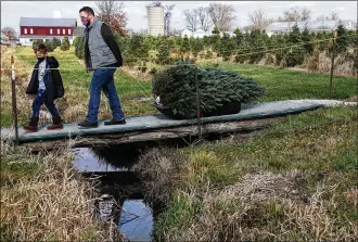  ?? BILL LACKEY/STAFF ?? A family pulls the Christmas tree they just cut across a bridge at Carl & Dorothy Young’s Christmas Tree Farm last year.