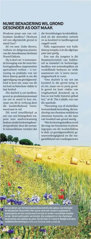  ?? FOTO: LUC VIATOUR, WWW.LUCNIX.BE ?? Een praktyk van herlewings­landbou behels die opbou van biologiese ekostelsel-diversitei­t met some veld wat rondom saailande in stand gehou en hervestig word om bye en ander voordelige insekte te lok. Veral roofinsekt­e verminder die nodigheid vir die...