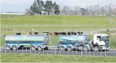  ?? — Reuters ?? A Fonterra milk tanker arrives at Fonterra’s Te Rapa plant near Hamilton.