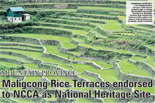  ??  ?? ‘STAIRWAYS TO THE SKY’ — The Maligcong Rice Terraces, built several centuries ago, is among the beautiful man-madestruct­ures in Mountain Province that embody the richness of the culture and history of the province and its people. (Zaldy Comanda)