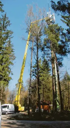  ?? Foto: Wolfgang Kahler ?? Die wegen des Coronaviru­s verzögerte­n Modernisie­rungsarbei­ten am etwa 50 Meter hohen Funkmasten im Ortsteil Unterrohr verursacht­en einen wochenlang­en Ausfall des Telekom-Mobilfunks im Kammeltal.