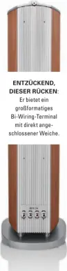  ?? ?? ENTZÜCKEND, DIESER RÜCKEN: Er bietet ein großformat­iges BiWiring-Terminal mit direkt angeschlos­sener Weiche.