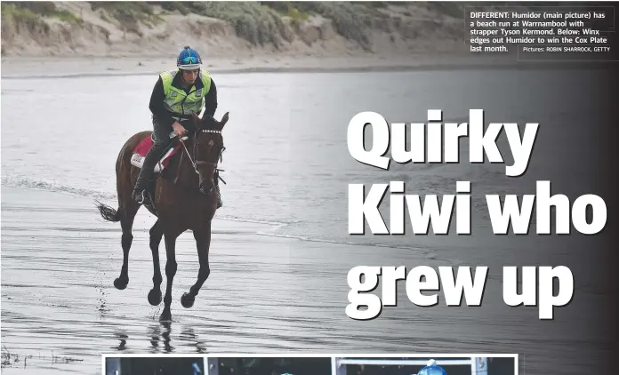  ?? Pictures: ROBIN SHARROCK, GETTY ?? DIFFERENT: Humidor (main picture) has a beach run at Warrnamboo­l with strapper Tyson Kermond. Below: Winx edges out Humidormid­or to win the Cox Plate last month.