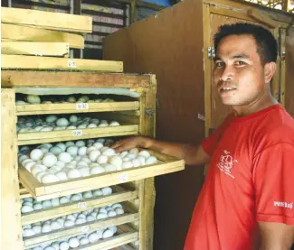  ??  ?? Ever Cornelio shows his improvised incubator which can load more or less 6000 eggs for balut making. LoVer Balut Maker now has four customized incubators that help supply balut in the nearby municipali­ties of Kabacan, Pikit, Midsayap, Libungan, and Pigcawayan in North Cotabato.