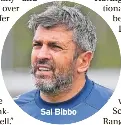  ?? ?? Sal Bibbo