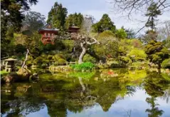  ??  ?? Wander the Japanese Tea Garden in Golden Gate Park (Getty/iStock)