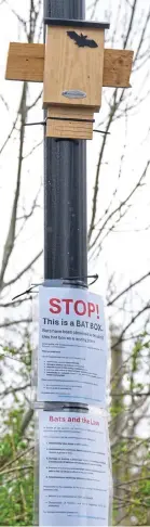  ?? ?? Ploy: A bat box in Chessingto­n