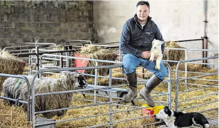  ?? Photo: Tom O’Hanlon ?? John Fagan at his farm in Co Westmeath.