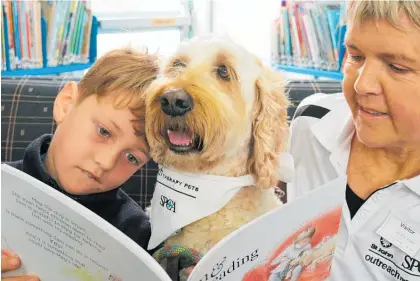  ?? Photo / Peter de Graaf ?? Meg the reading dog and Drew Baldock-Heta, 7, read the children’s book they inspired while Meg’s owner, Jannetta Wilmar, looks on.