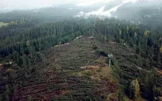  ??  ?? Deserto Centinaia di migliaia di alberi sono stati spazzati via dalla potenza del vento dei giorni scorsi in tutto il Triveneto anche sulle piste da sci
