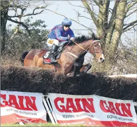  ?? (Pic: Sean Burke) ?? Winner of the GAIN Mares Series 2022 ‘Koyote’ in action over the last in Ballynoe with jockey Mikey O’Connor on board.