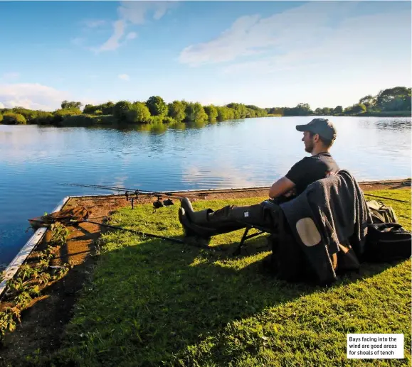  ??  ?? Bays facing into the wind are good areas for shoals of tench