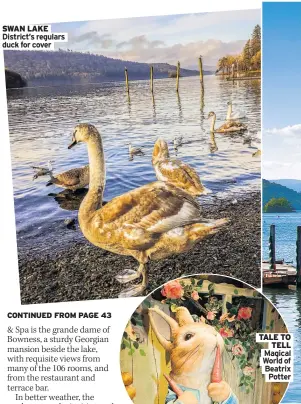  ??  ?? SWAN LAKE District’s regulars duck for cover
TALE TO
TELL
Magical World of Beatrix Potter