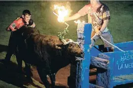  ?? LV ?? Toro embolat a la plaça portàtil de l’Ampolla el 19 de juny