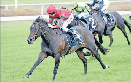  ?? Photo: RACE IMAGES ?? Queens Rose (Vinnie Colgan) relishes the heavy conditions as she returns to form at Tauranga last Saturday.