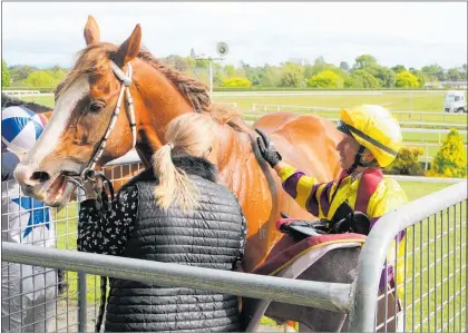  ?? Photo / Colin Thorsen. ?? Jockey Rebecca Scott unsaddles He’s Cavalier after winning the Isuzu Te Awamutu Cup on Wednesday.
