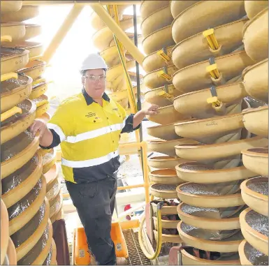  ?? Picture: PAUL CARRACHER ?? THUMBS UP: WIM Resource Avonbank project manager and senior geologist Michael Winternitz is pictured with spiral mineral separators at the Dooen site.