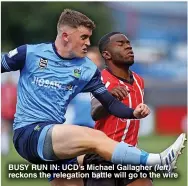  ?? ?? BUSY RUN IN: UCD’s Michael Gallagher reckons the relegation battle will go to the wire