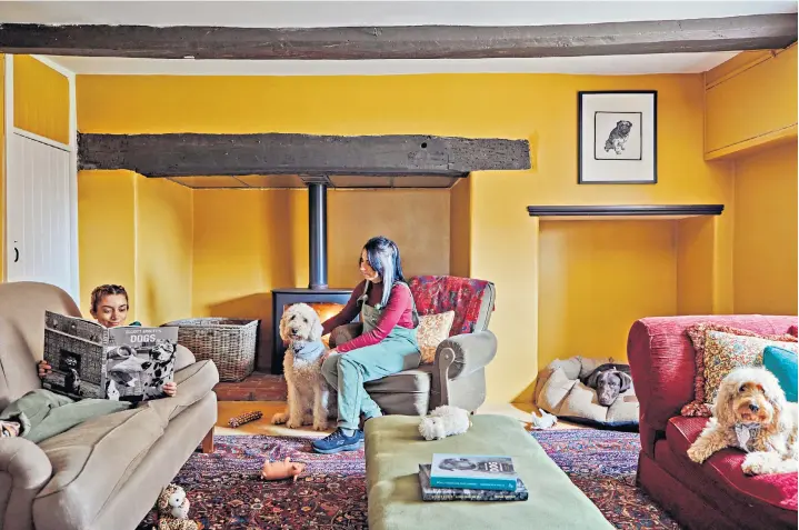 ?? ?? i Pampered pooches: it’s a home from home for dogs who stay at the Country Dog Hotel & Spa in Taunton