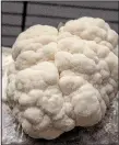  ?? Arkansas Democrat-Gazette/CARY JENKINS ?? Brains! No, actually it’s just lion’s mane mushrooms at Wye Mountain Mushroom Farm.