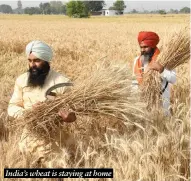  ?? ?? India’s wheat is staying at home