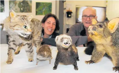 Display takes aim at pests - PressReader