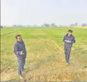  ?? BURHAAN KINU/HT PHOTO ?? ■ One of the fields where a Harappan-era cemetery was unearthed three years ago. Crops now cover the land.