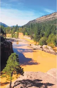  ?? THE DAILY TIMES, FARMINGTON ?? Pollution from the Gold King mine spill flows in the Animas River north of Durango, Colo., in August 2015. The spill polluted rivers in New Mexico, Colorado and Utah.