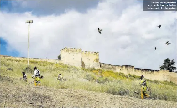  ?? S. GARCÍA ?? Varios trabajador­es cortan la hierba de las laderas de la alcazaba.