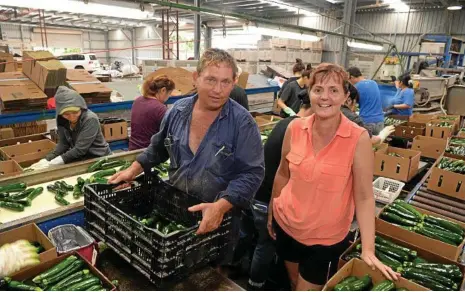  ??  ?? PRODUCTIVE DONATION: Trevor and Wendy Cross donate about 1300 tonnes of vegetables and fruits to Foodbank each year. The produce is sent to Australian­s who cannot afford to buy food. PHOTO: MIKE KNOTT BUN141017F­OODBANK1