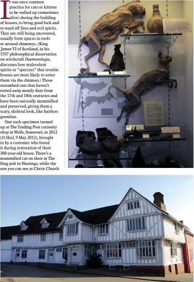 ??  ?? TOP: A display of mummified cats in Bury St Edmunds’s Moyses Hall. ABOVE: Lavenham’s splendid Guildhall.