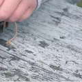  ??  ?? Left: Create a bug hotel using canes, straw or drilled pieces of wood and then keep track of the minibeast guests who move in