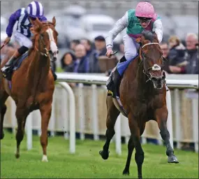  ??  ?? MUDDY BRILLIANT: Kingman and James Doyle sprint to Guineas glory