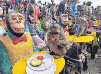  ?? FOTO: CHALIDA EKVITTHAYA­VECHNUKUL/DPA ?? In der Affenstadt Lop Buri in Thailand essen Affen Früchte während des Affenfeste­s. Doch die zunehmend aggressive­n Tiere bereiten den Einheimisc­hen Probleme.