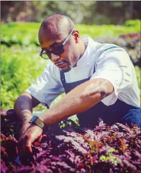  ?? COURTESY EVAN MARTIN ?? Evan Martin picks vegetables at a nearby farm.