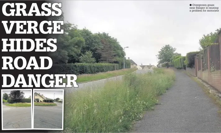  ??  ?? Overgrown grass near Bangor is causing a problem for motorists