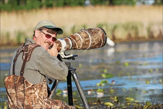  ?? PHOTO BY LUKE COSTILOW PROVIDED BY MARK COSTILOW ?? Amherst Mayor Mark Costilow said he and his son, Luke Costilow, 24, a naturalist with Ohio Department of Natural Resources, enjoy photograph­ing wildlife together, such as this outing in a marsh along Lake Erie capturing images of shore and wading birds.