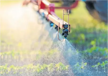  ?? ?? Claves. Si la expectativ­a es recuperar la producción para conseguir dólares, los fertilizan­tes no pueden faltar.