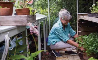  ??  ?? Herbs such as parsley will dry out more slowly and are less likely to wilt if moved to a cool and shady spot on hot days