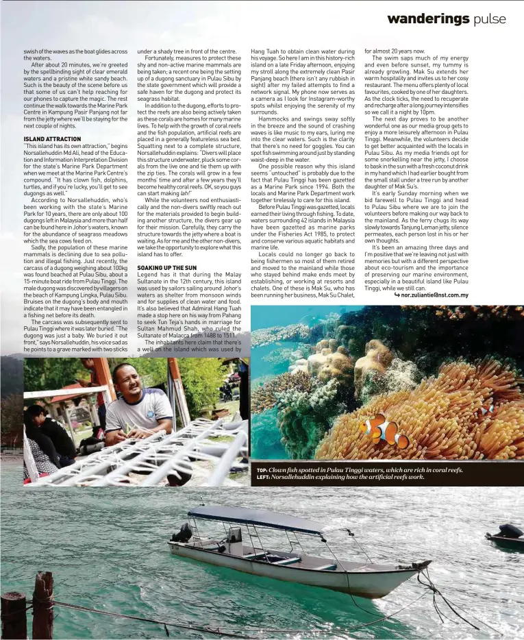  ??  ?? TOP: Clown fish spotted in Pulau Tinggi waters, which are rich in coral reefs. LEfT: Norsallehu­ddin explaining how the artificial reefs work.