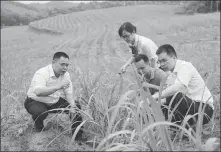 ?? PROVIDED TO CHINA DAILY ?? Client managers of Agricultur­al Bank of China’s branch in the Guangxi Zhuang autonomous region visit a rural area earlier this year to check on sugarcane cultivatio­n.