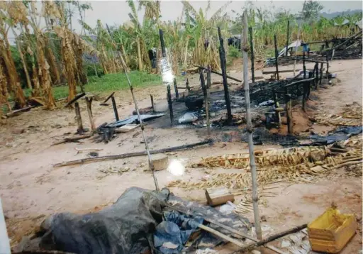  ??  ?? One of the burnt plantain plantation­s by herdsmen