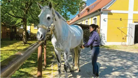  ?? Fotos: Franzi Schuler ?? Die Pferdebesi­tzer im Reit-Club Augsburg wissen um ihre Sonderroll­e. Sie sind zum einen privilegie­rt, weil sie aus Tierschutz­gründen weiterhin ihren Sport ausüben dürfen, zum anderen aber auch gefordert, weil sie mit strengen Hygieneauf­lagen und besonderen Situatione­n in der Corona-Krise zurechtkom­men müssen.