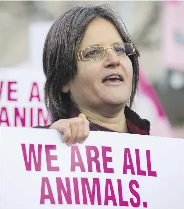  ?? AARON LYNETT / THE CANADIAN PRESS ?? Anita Krajnc, charged with mischief after giving water to pigs on their way to be slaughtere­d, demonstrat­es outside of a Burlington, Ont., courthouse on Thursday.